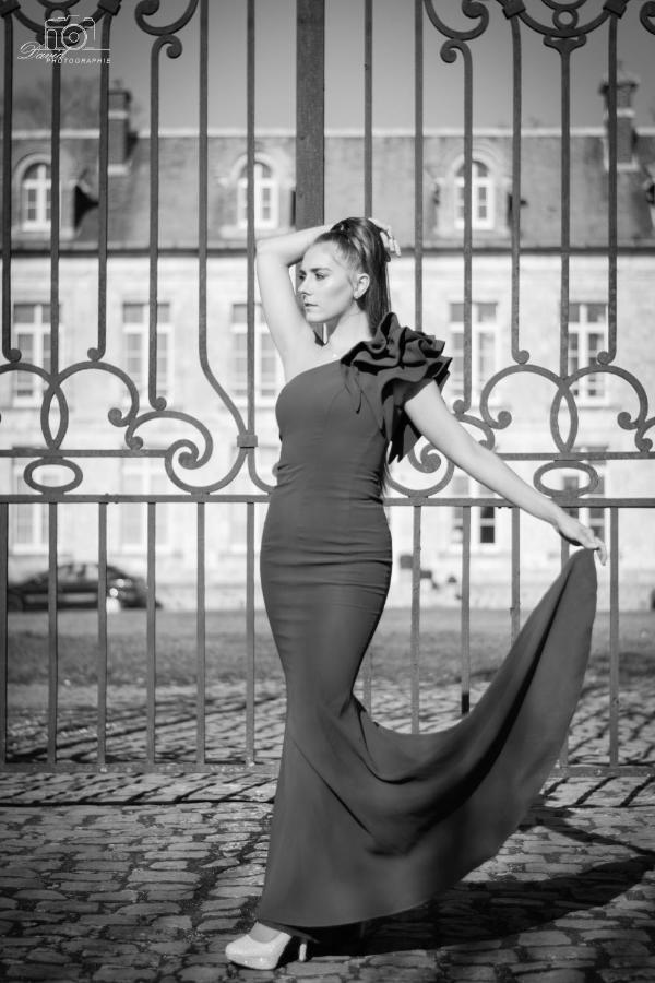 Chateau De Plessier-Roza Le Plessier-Rozainvillers エクステリア 写真